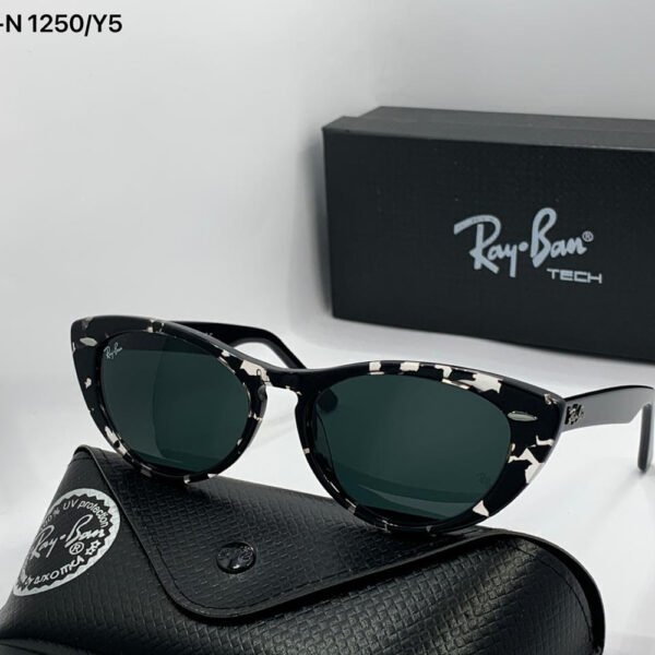 Ray-Ban Master Quality sunglass