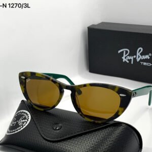 Ray-Ban Master Quality sunglass