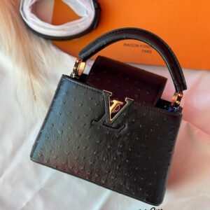 LV Capucines Mini
Size 21 Cm