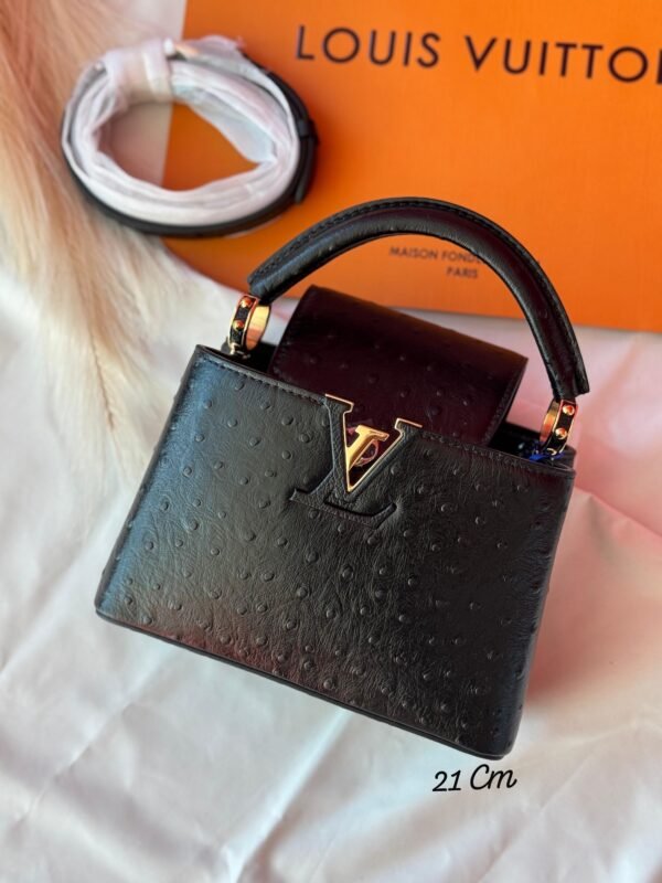LV Capucines Mini
Size 21 Cm